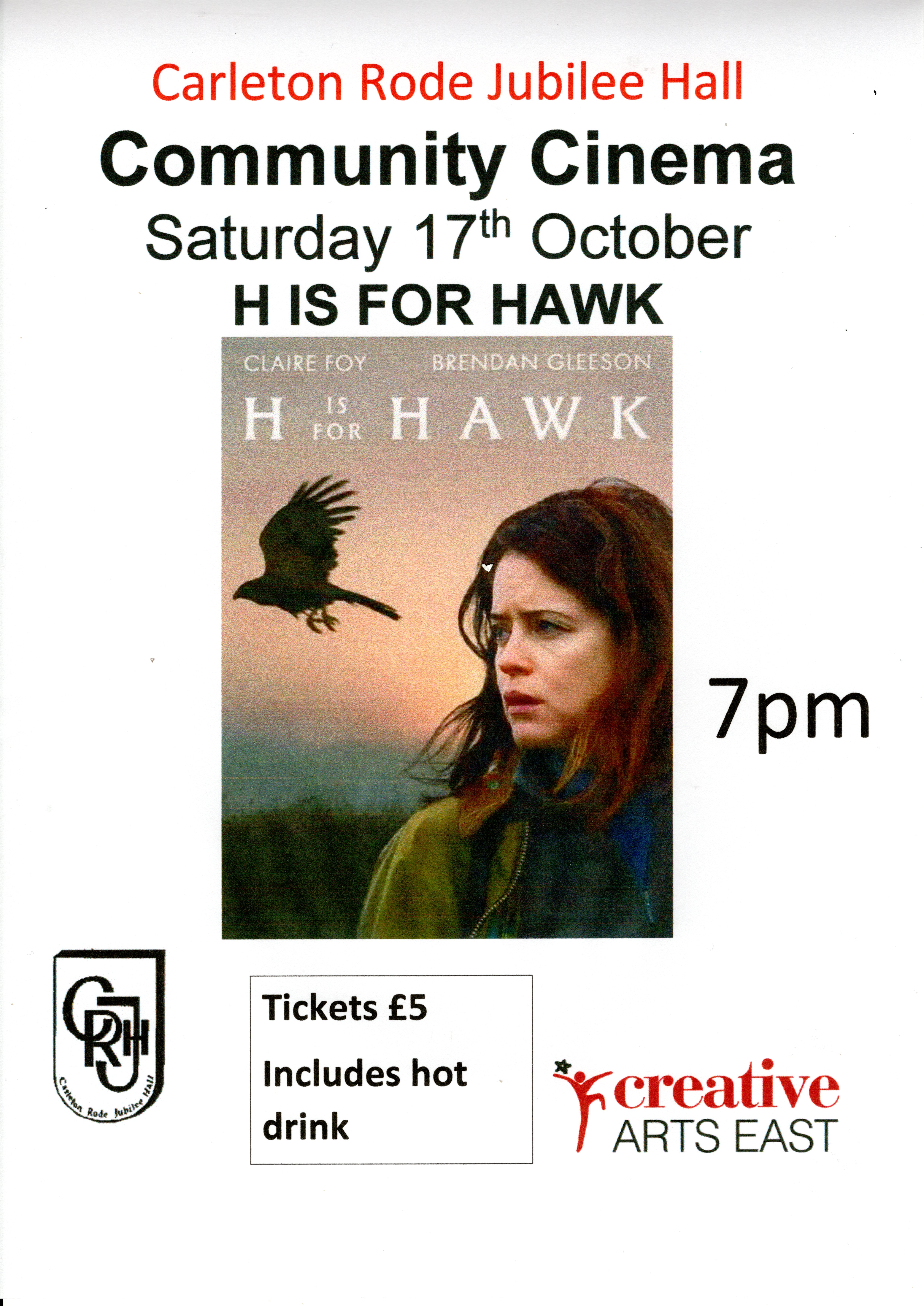 h is for hawk poster